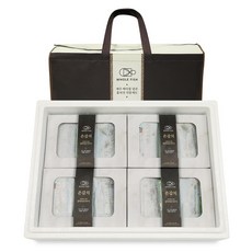 제주갈치낚시tv