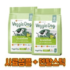 인섹트도그