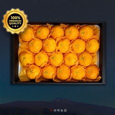 [바먹농장] 제주 레드향 당도선별 명품선물세트 실속 가정용, 1개, [선물] 제주 레드향 4.5kg 소과 24-30과 내외