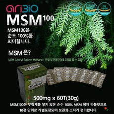 msm100t