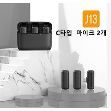 ANKRIC-J13 스마트폰용 프리미엄 무선 핀마이크 2in 1+충전 케이스 세트, C 타입 2in 1