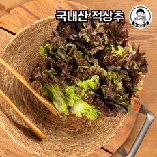 당일작업 국내산 적상추 쌈채소, 200g, 1개