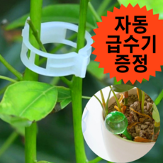 고추끈매는클립