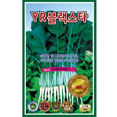 블랙스타오방난로