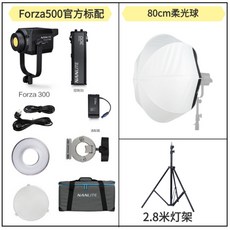 NANLITE 난라이트 포르자300 LED 방송 촬영 조명 forza300 라이트, 개, Forza300+80cm소프트볼