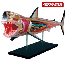 마스터기초의학