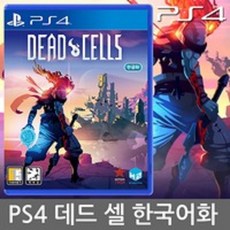 첼로중고정현