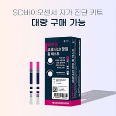 iq검사