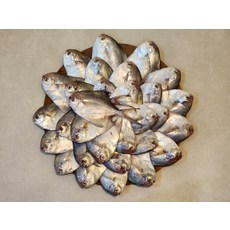 국내산 생물 병어 횟감 1kg 통영 당일바리 통통 싱싱, 1개