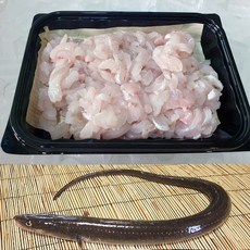 아나고회 자연산 붕장어 세꼬시회 1kg(활어기준), 1개