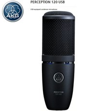 akg퍼셉션120