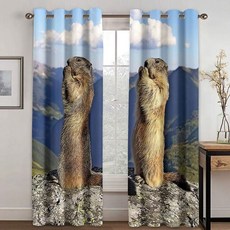 강릉실외기루버셔터