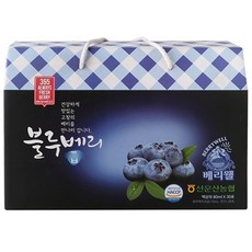 베리웰블루베리