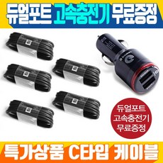 삼성 고속 충전 C타입 케이블 5개+고출력 차량용 충전기, 블랙5개+차량용충전기