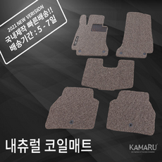 g80전방카메라