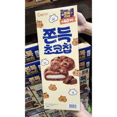 트레이더스바나나칩