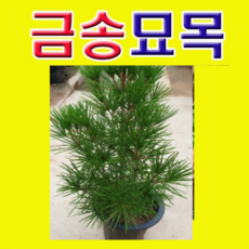 cb9aed9824be39d285967d1032de2f1aa3d5efb474754490cb5688f97b90.png