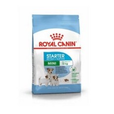 로얄캐닌스타터-추천-상품