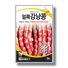 식재삽콩콩이
