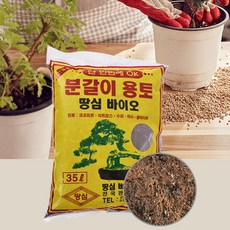 땅심바이오 TOP01