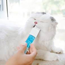 멍랩 츄잉브러쉬 냥치 고양이 양치질 치석 치아 관리 플라그 제거 구내염 예방, 단품, 냥치츄르 7P (리필 /브러쉬미포함)