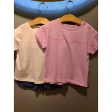 모이몰른다이퍼