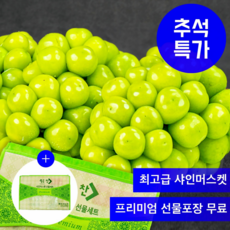[선물만족도1위] 최고급 선물용 샤인머스켓 선물용 샤인머스켓, 1박스, 2kg