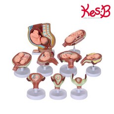 3세남아교구