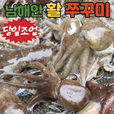 추천8쭈꾸미가격