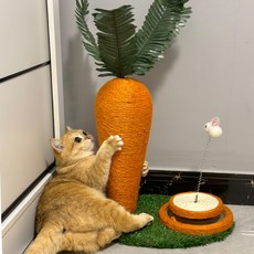  당근모양 디자인 고양이 스크래쳐 발톱 스트레스해소 애묘인 필수품 고양이 장난감 사냥놀이, [02] 당근 스크래쳐 [대형] 