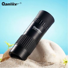x100텔레컨버터