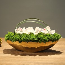 a56007170a85ee931376e0070034e7138f32185e283e413119504018f976.jpg