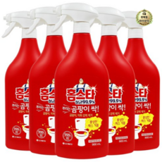 라이브잇 홈스타 뿌리는 곰팡이 싹 세정제, 900ml, 10개