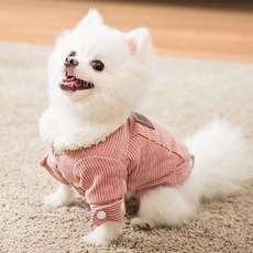 bba917776e1e260166ad5ce1b58c48a0ac29dac3fadb6aee7c80b1f88d23.jpg