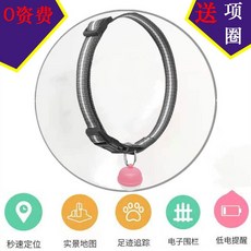 펫gps