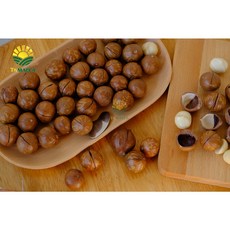 베트남 통 마카다미아 500g 껍질 까먹는 인쉘 생 견과류, 1개