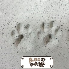 애니파우 강아지 발도장 고양이 대리석 클레이 강아지용품, 대리석클레이, 1개