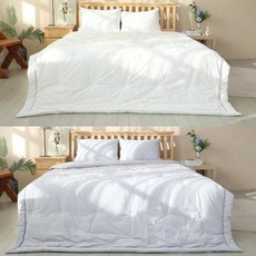 리눔아티카80수