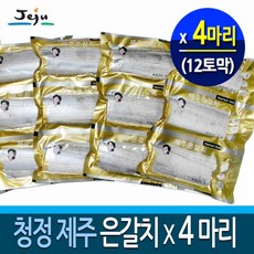 간갈치