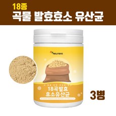 다이어트의정석