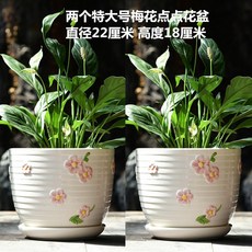 개성 원형 스트레이트핏 일자 가정용 치자 알프스프라자축하화환 키우기 화발 그린 광주리 범피란 전용 진달래, 블랙 두개 특대사이즈 매화조화꽃 포인