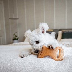 강아지치석제거 아기강아지장난감 베네본 소프트 퍼피 패키지 애견장난감 덴탈츄위시본, 2.메이플스틱&재글러, 1개 - 베러본