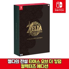닌텐도스위치젤다에디션 TOP01
