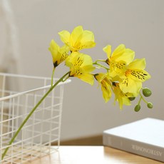 호접란부케