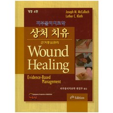 피부물리치료중재학