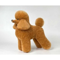  애견미용모형 가짜모 강아지마네킹 시험 컷 연습, 테디 헤드 몰드 