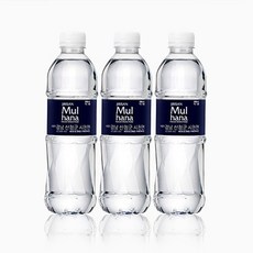 지리산 생수 업소용 500ML 20페트, 본상품선택