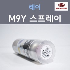 레이순정avn
