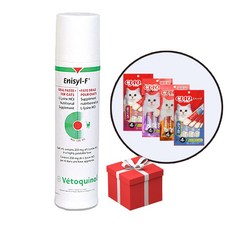  고양이 엘라이신 아미노산 영양제 베토퀴놀 애니실F 헤르페스 허피스 면역 증강제 100ml 