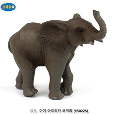 파포코끼리